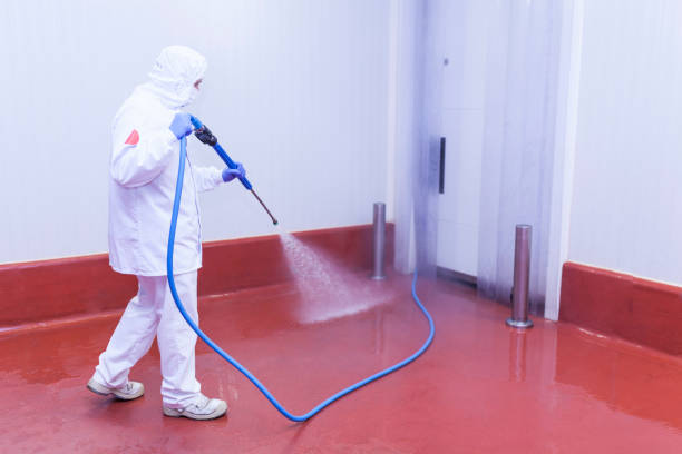 Best Sidewalk and Walkway Cleaning  in Bayou Country Clu, LA